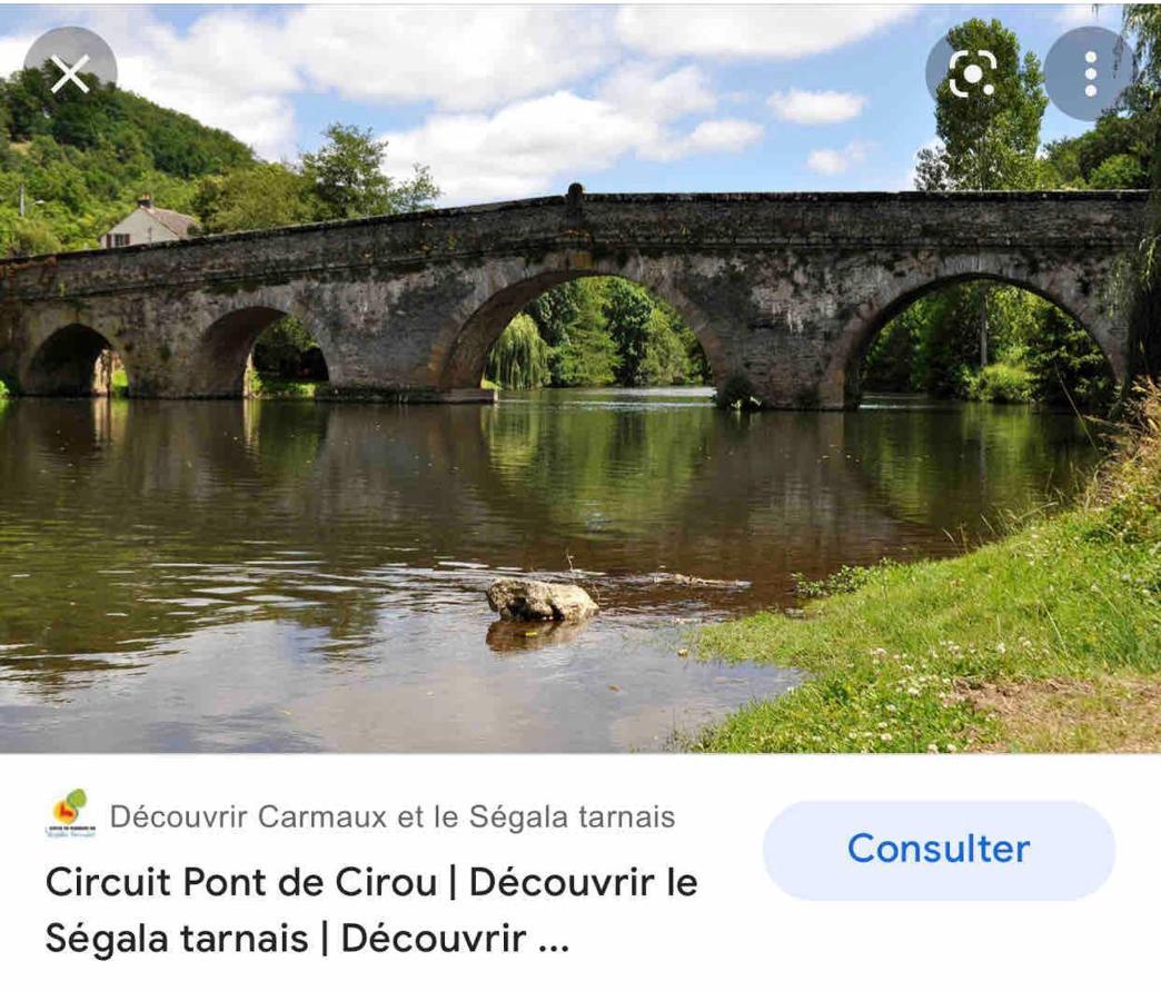 Le Gite De Las Peyros Mirandol-Bourgnounac Eksteriør bilde