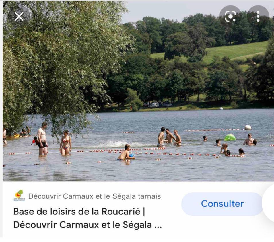 Le Gite De Las Peyros Mirandol-Bourgnounac Eksteriør bilde